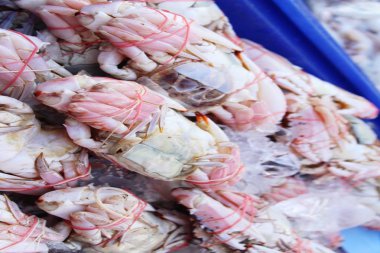 Sokak gıda yemek pişirmek için buz üzerinde Yengeç