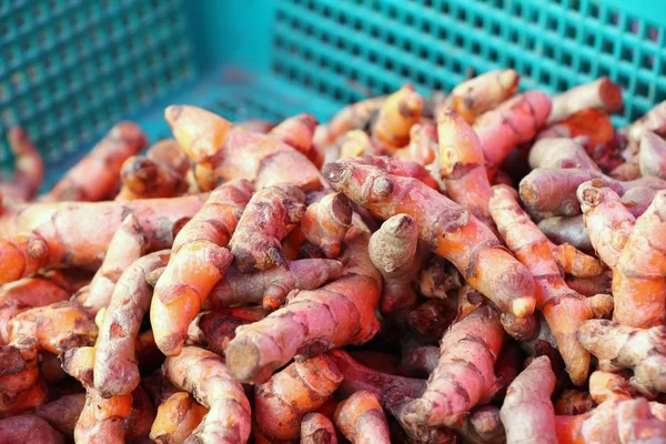 Radice di curcuma fresca è erba per la salute — Foto Stock