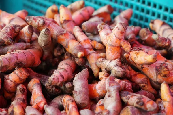 Radice di curcuma fresca è erba per la salute — Foto Stock