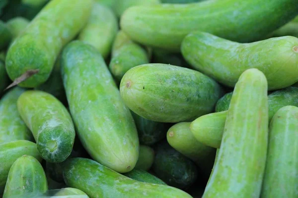 Verse komkommers voor het koken op de markt — Stockfoto