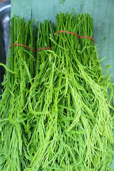 Acacia pennata voor het koken op de markt — Stockfoto