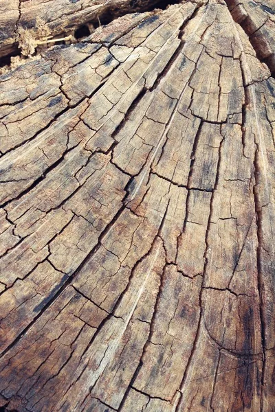 Antiguo fondo de pared de belleza de madera y textura —  Fotos de Stock