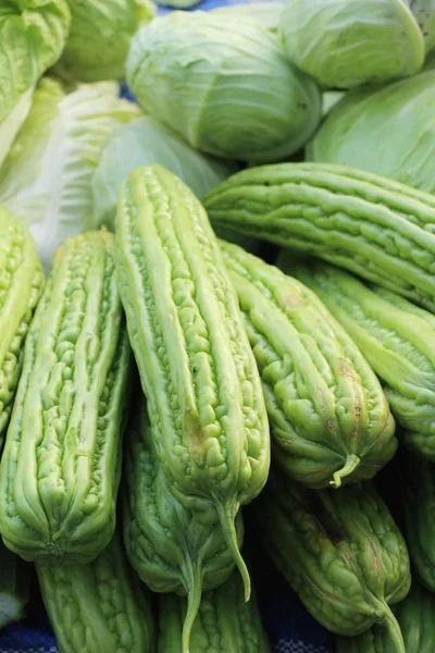 Bitter melon gourd for cooking in market — Stock Photo, Image