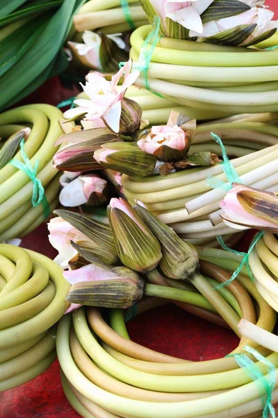 Sokak gıda yemek pişirmek için lotus kaynaklanıyor — Stok fotoğraf