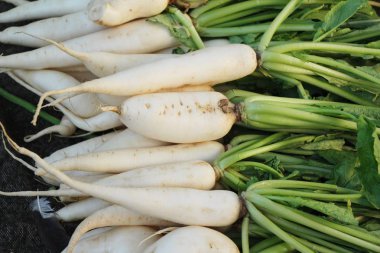 Belgili tanımlık çarşı içinde yemek pişirmek için taze turp