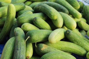 Belgili tanımlık çarşı içinde yemek pişirmek için taze salatalık