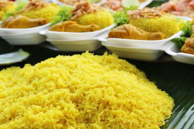 Tavuk biryani pirinç lezzetli ve sos