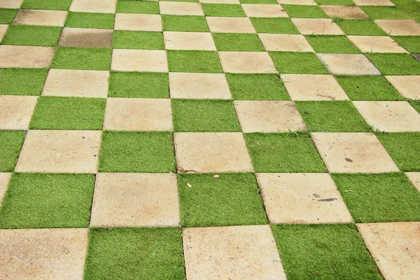 Garden walk way with stone in nature — Stock Photo, Image