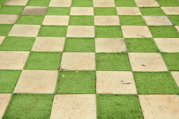 Gartenweg mit Stein in der Natur — Stockfoto