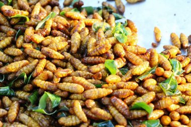 Fried ipek solucanlar sokak gıda lezzetli