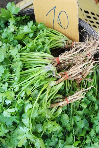 Fresh coriander for cooking in the market