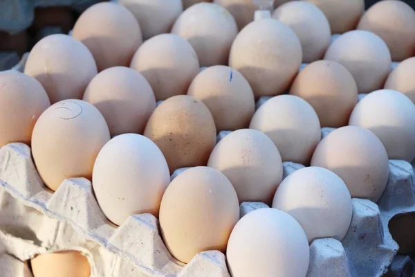 Egg in the panel at the market — Stock Photo, Image