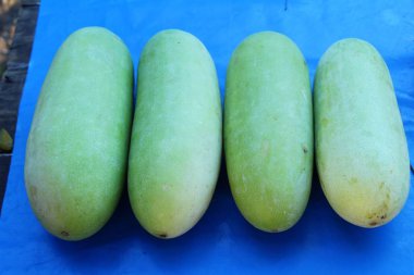 Kış belgili tanımlık çarşı içinde yemek pişirmek için kavun