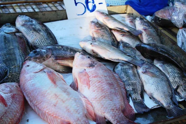 Φρέσκο ψάρι για το μαγείρεμα στην αγορά — Φωτογραφία Αρχείου