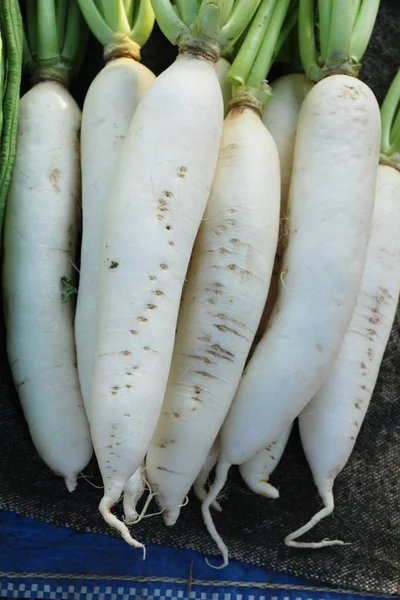 Radis frais pour cuisiner sur le marché — Photo