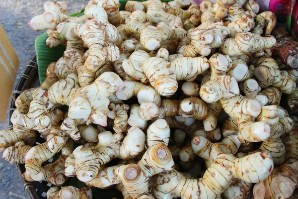 Galangal fresco per cucinare nel mercato — Foto Stock