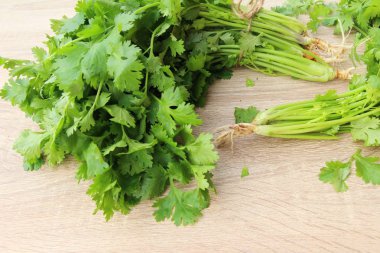 Ahşap arka plan üzerinde yemek için taze kişniş