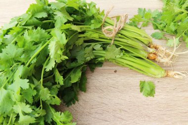 Ahşap arka plan üzerinde yemek için taze kişniş