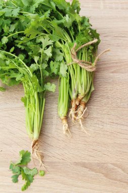 Ahşap arka plan üzerinde yemek için taze kişniş