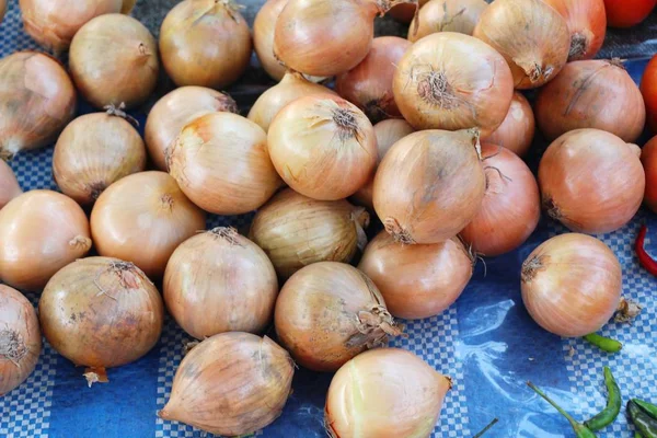 Cebolla fresca para cocinar en el mercado — Foto de Stock