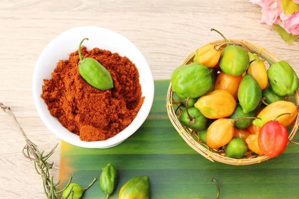 Paprika en poudre épicé poivrons rouges et piments — Photo