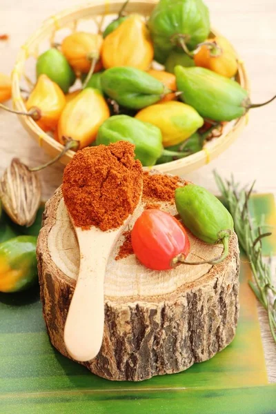 Pikantní paprika prášek červené a chilli papričky — Stock fotografie