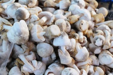 Belgili tanımlık çarşı içinde yemek pişirmek için taze mantar