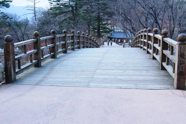 Drewniany most w parku narodowym Seoraksan — Zdjęcie stockowe