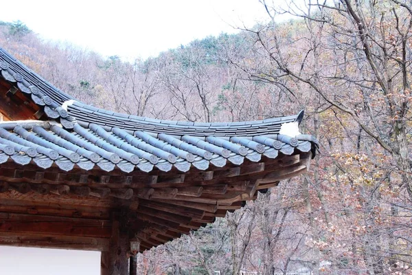Tradiční střecha starodávné korejské architektury — Stock fotografie