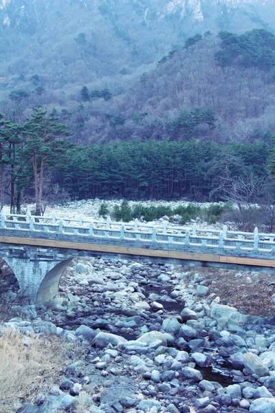 雪岳山国立公園で春の橋 — ストック写真