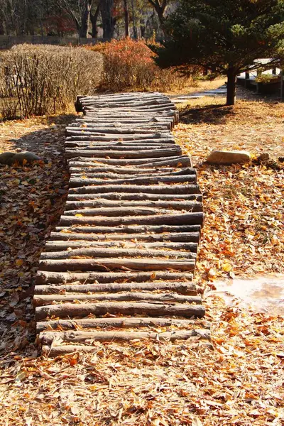 Wooden bridge in spring at South Korea — Stock Photo, Image