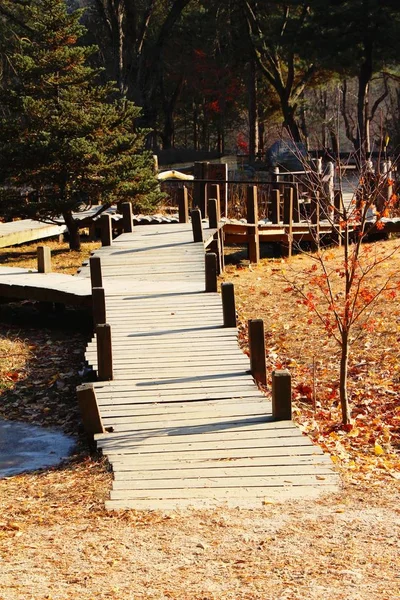 Ponte de madeira na primavera na Coréia do Sul — Fotografia de Stock