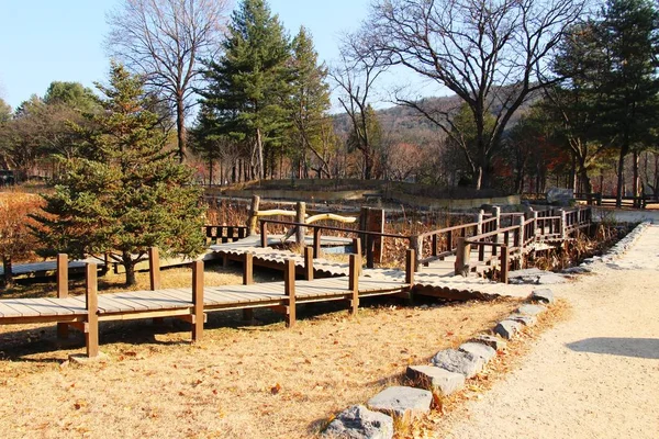 Drewniany most na wiosnę w Korei Południowej — Zdjęcie stockowe