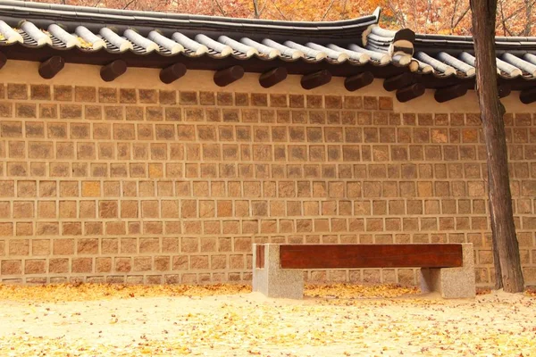 Banc avec feuilles de ginkgo au parc, Corée — Photo