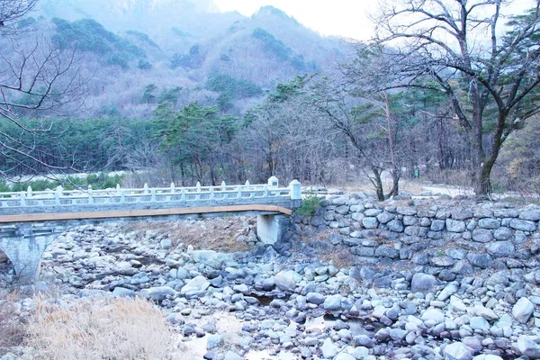 Мост весной в национальном парке Сораксан — стоковое фото