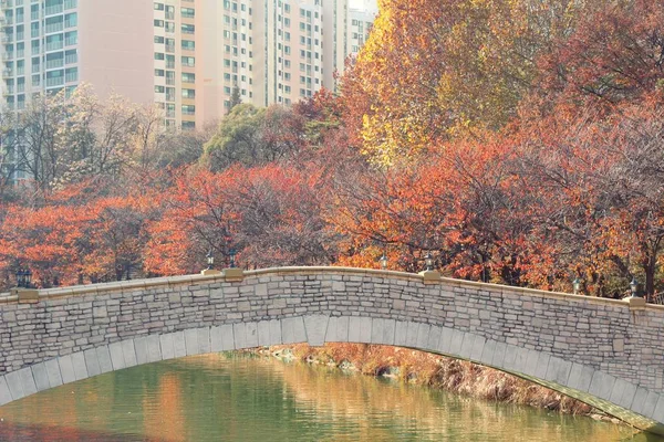 Most na wiosnę w parku, Korea Południowa — Zdjęcie stockowe