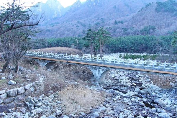 Мост весной в национальном парке Сораксан — стоковое фото