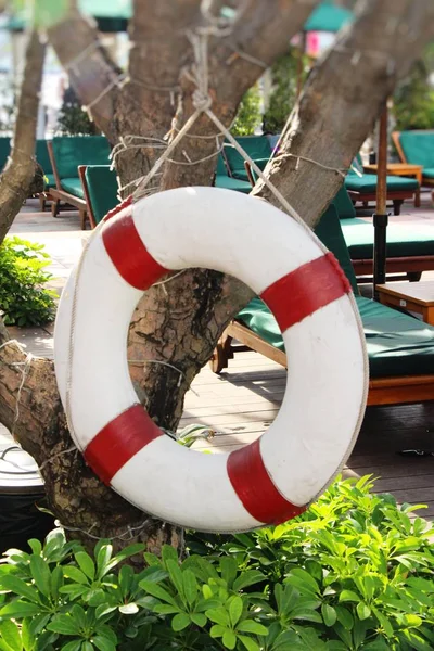Pelampung cincin menggantung di pohon dengan kolam renang — Stok Foto