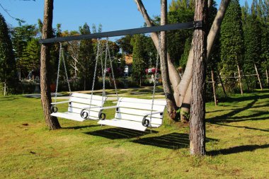 Doğa ile ağaç üzerinde asılı beyaz salıncak