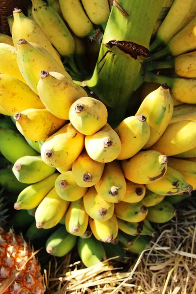 Banana é deliciosa no mercado — Fotografia de Stock