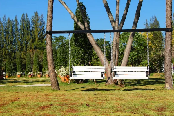 Balançoire blanche suspendue à l'arbre avec la nature — Photo