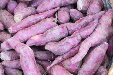 Taze yam pişirme için piyasada