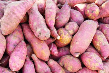 Taze yam pişirme için piyasada