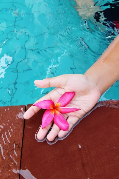 Ragazzo sta nuotando in piscina con fiore — Foto Stock