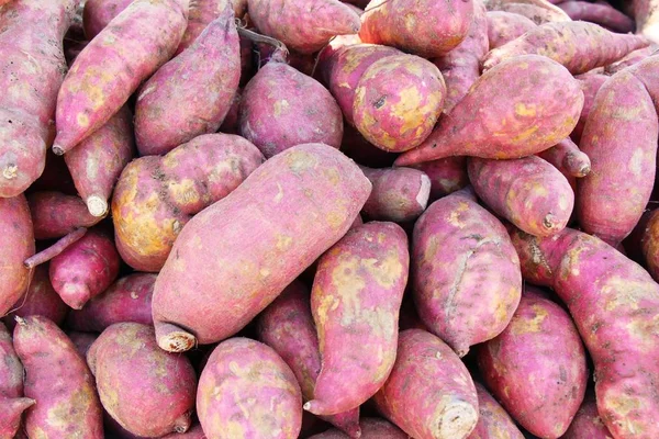 Frische Süßkartoffeln auf dem Markt zum Kochen — Stockfoto