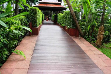 Doğada taşlı Bahçe yürüme yolu