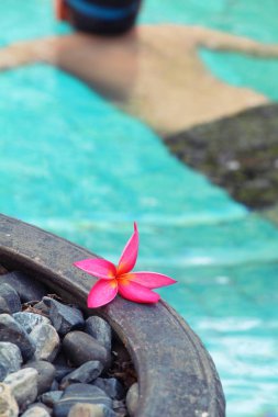 Çocuk havuzu ile çiçek yüzüyor