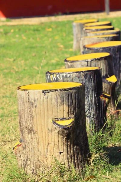 Set sillas de estilo vintage en jardín — Foto de Stock