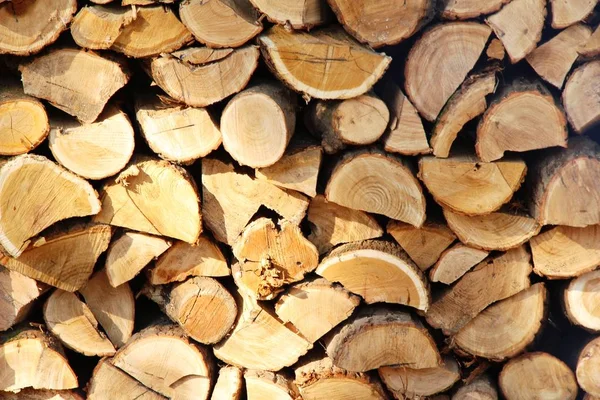 Timber for firewood — Stock Photo, Image