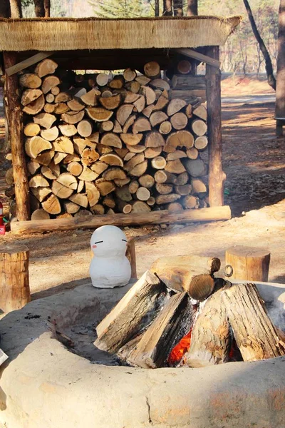 फायरवूडसाठी लाकूड — स्टॉक फोटो, इमेज